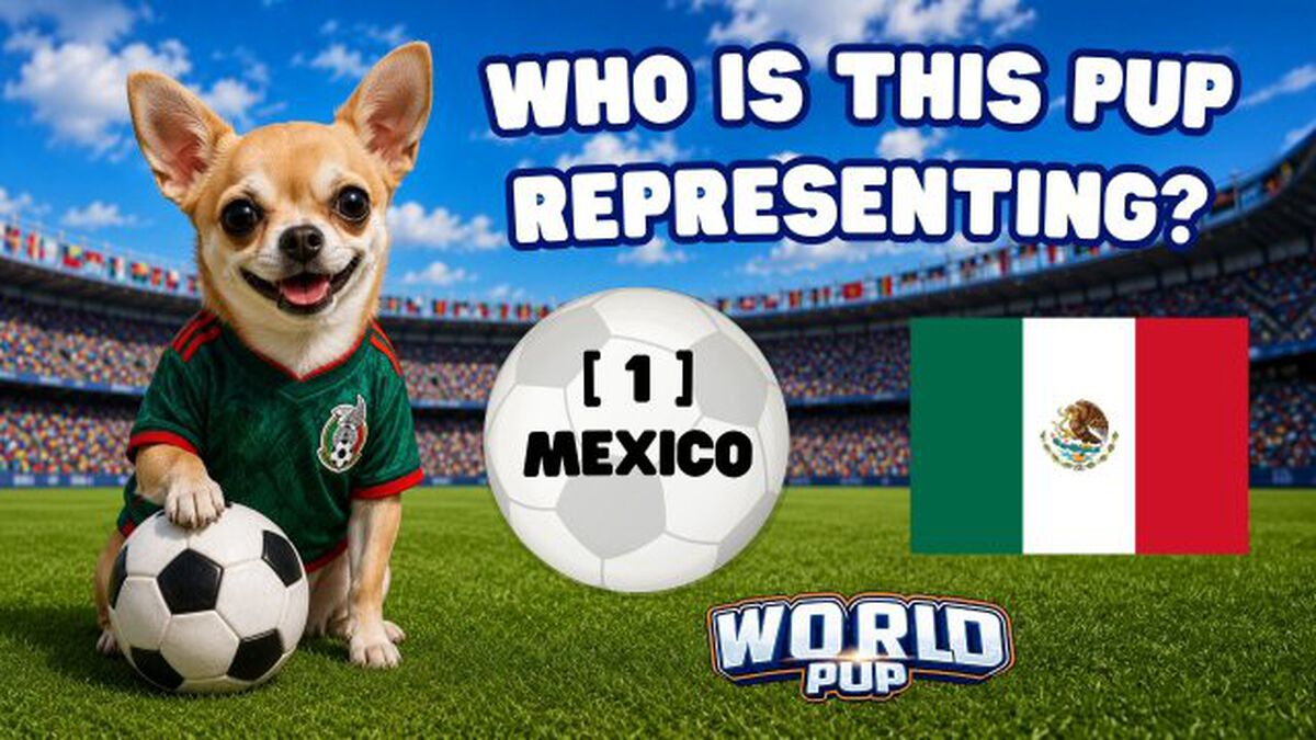 World Pup image number null